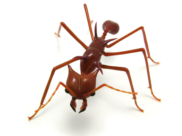 leafcutter ant made as gift for E.O. Wilson, presented April 10, 2009, glass ant by Wesley Fleming