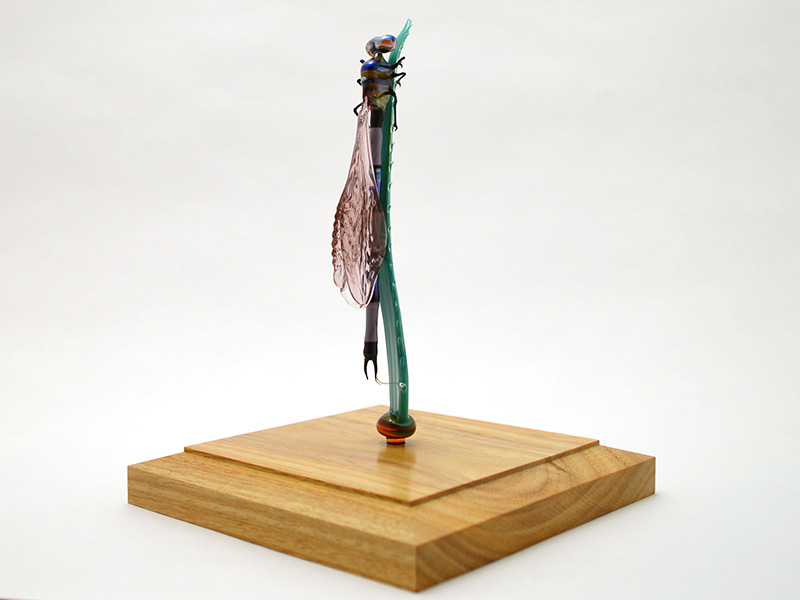 Damselfly Resting on Reedgrass, glass damselfly by Wesley Fleming