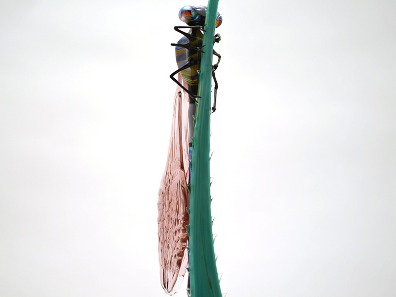 Damselfly Resting on Reedgrass, glass insect by Wesley Fleming