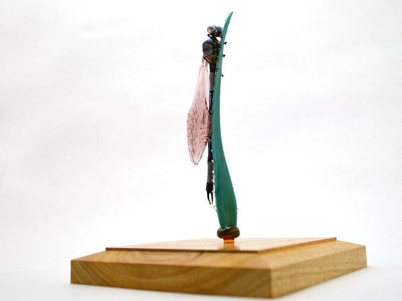 Damselfly Resting on Reedgrass, glass damselfly by Wesley Fleming