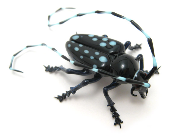 Asian Longhorn Beetle, glass Asian Longhorn Beetle by Wesley Fleming