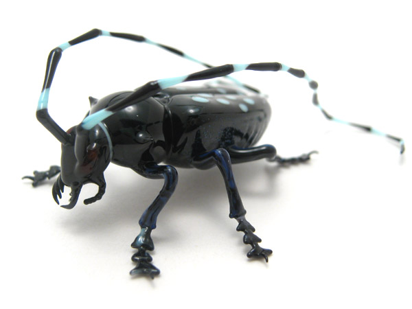 Asian Longhorn Beetle, glass bug by Wesley Fleming