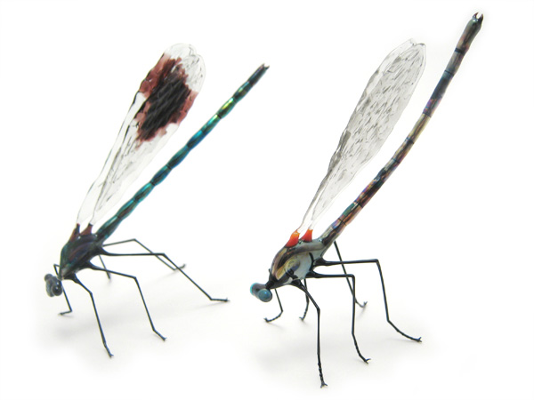 Banded Demoiselle, glass bug by Wesley Fleming