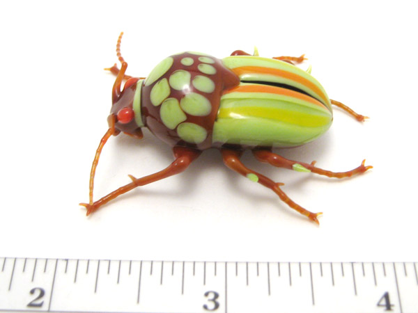 Striped Beetle, glass insect by Wesley Fleming