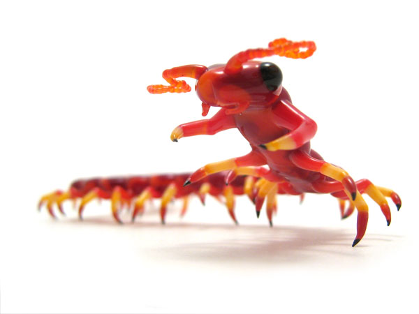 Candipede, glass insect by Wesley Fleming