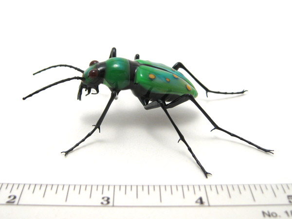 Cicindela campestris, glass cicindela campestris by Wesley Fleming