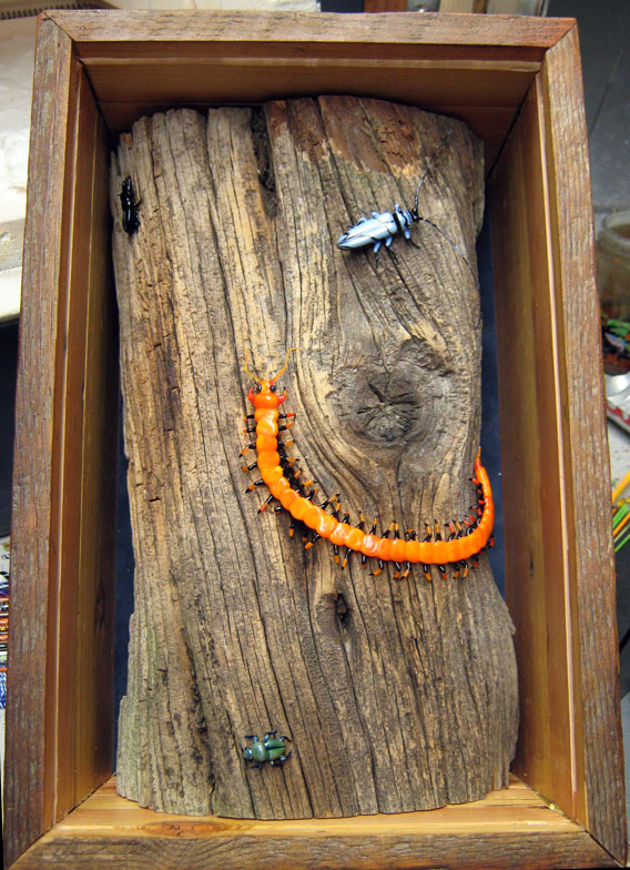 Centipede Stalking Longhorn Beetle, glass insect by Wesley Fleming