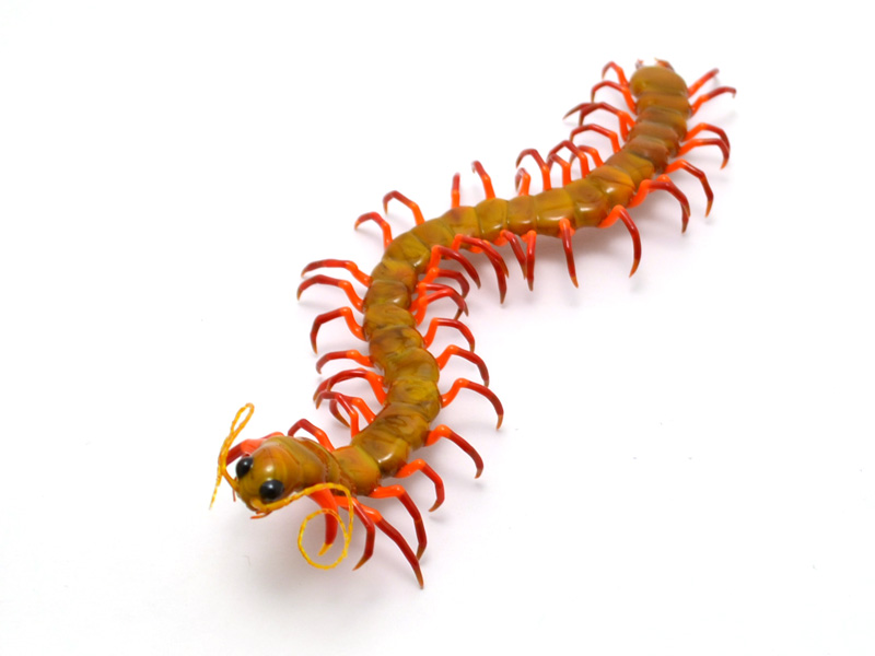 Acid Yellow Centipede, glass centipede by Wesley Fleming