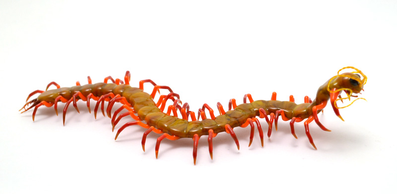 Acid Yellow Centipede, glass centipede by Wesley Fleming