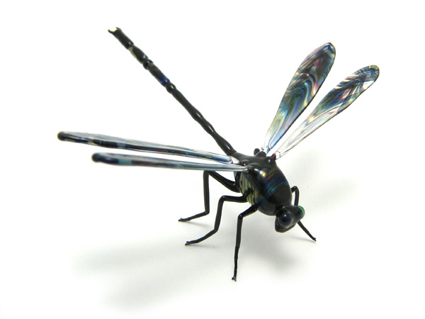 Dragonfly, glass insect by Wesley Fleming