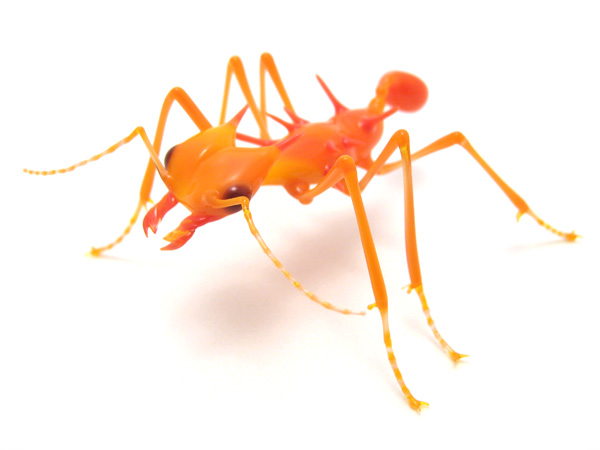 Fire Ant, glass ant by Wesley Fleming