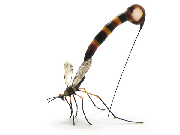 Giant Ichneumon Wasp, glass ichneumon wasp by Wesley Fleming