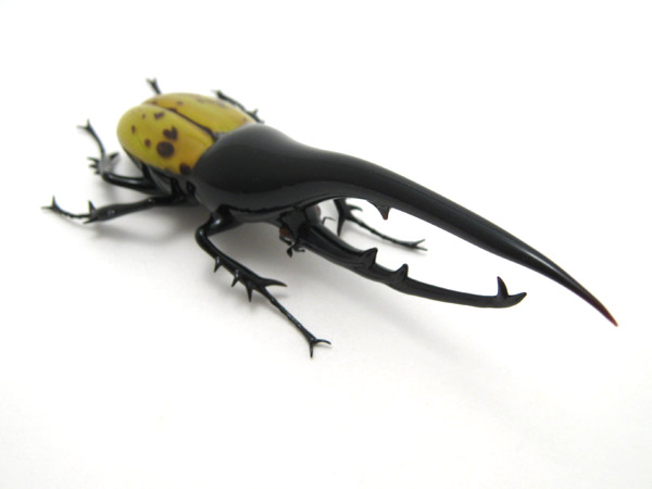 Hercules Beetle, glass beetle by Wesley Fleming