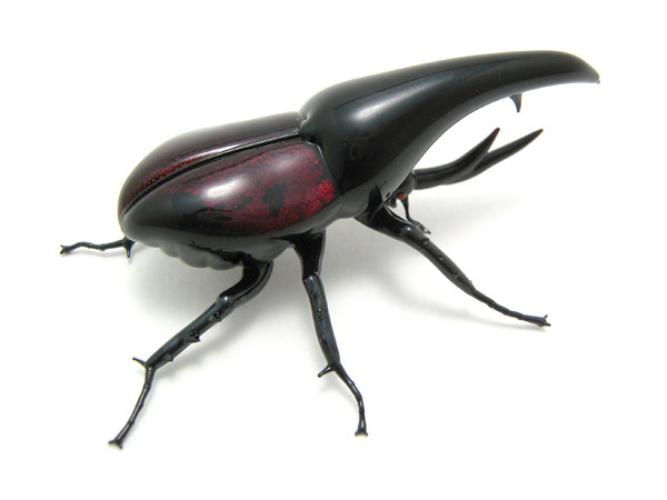 Ruby Hercules Beetle, glass beetle by Wesley Fleming