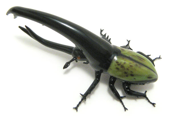 Hercules Beetle, glass beetle by Wesley Fleming