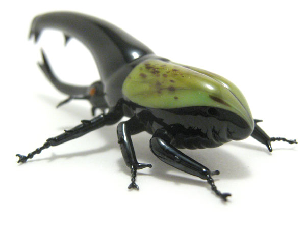 Hercules Beetle, glass insect by Wesley Fleming