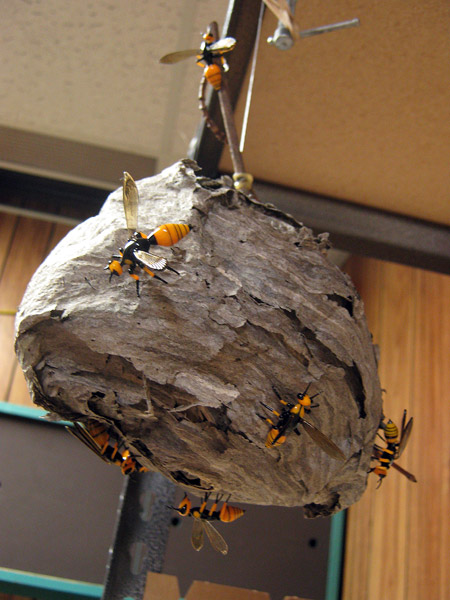 Hornet Nest, glass insect by Wesley Fleming
