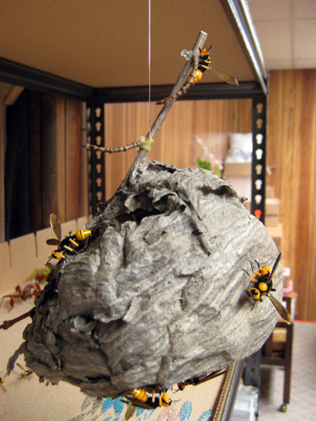 Hornet Nest, glass bug by Wesley Fleming