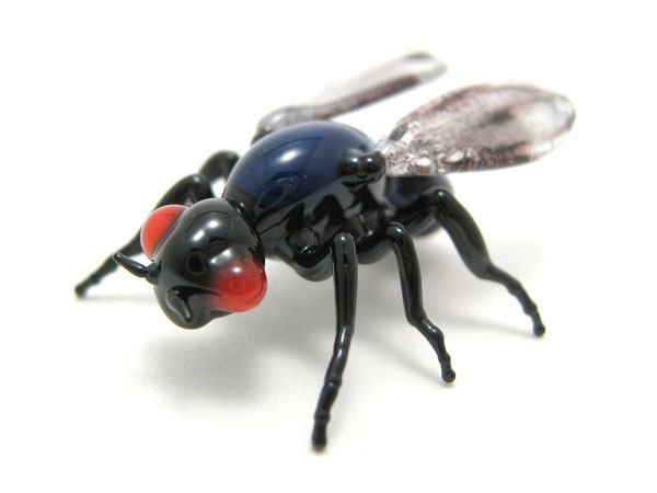 Housefly, glass bug by Wesley Fleming