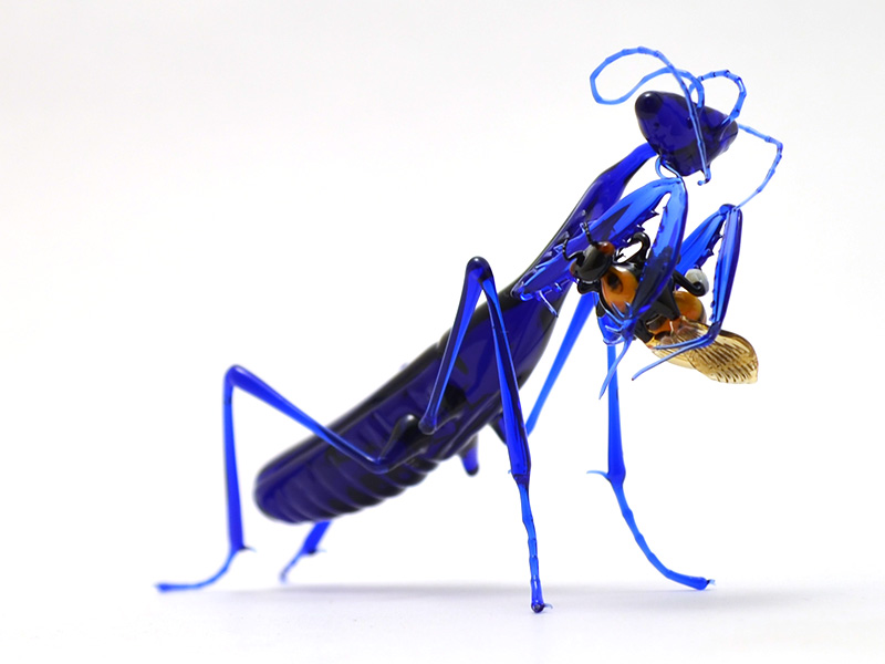 Indigo Mantis with Prey, glass mantis by Wesley Fleming