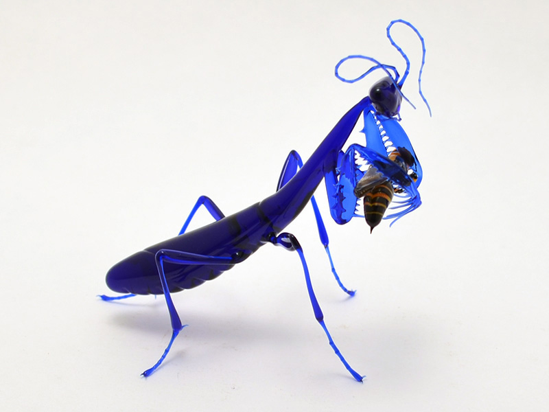 Indigo Mantis Eating Wasp, glass wasp by Wesley Fleming