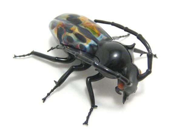 Iridescent Longhorn Beetle, glass beetle by Wesley Fleming