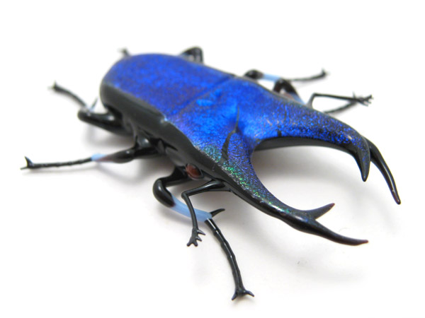 Cobalt Jewel Stag Beetle, glass stag beetle by Wesley Fleming