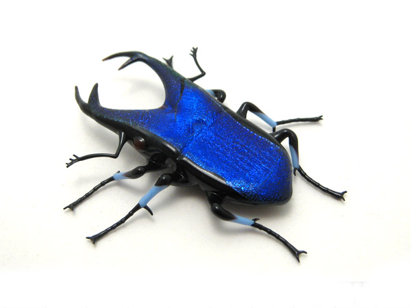 Cobalt Jewel Stag Beetle, glass beetle by Wesley Fleming