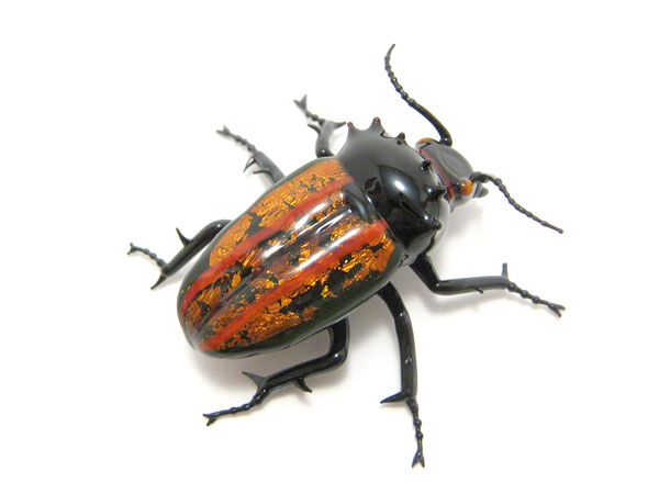 Jewel Beetle, glass insect by Wesley Fleming