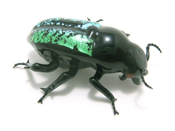 Jewel Beetle, glass insect by Wesley Fleming