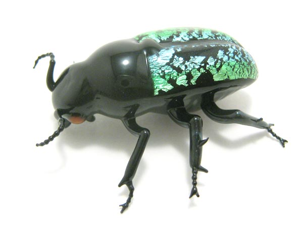 Jewel Beetle, glass beetle by Wesley Fleming