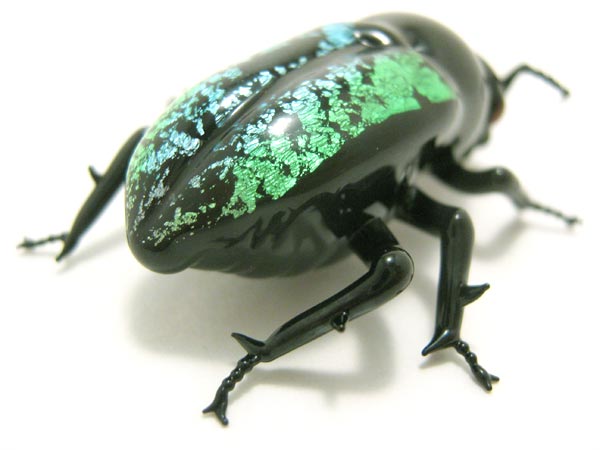 Jewel Beetle, glass beetle by Wesley Fleming