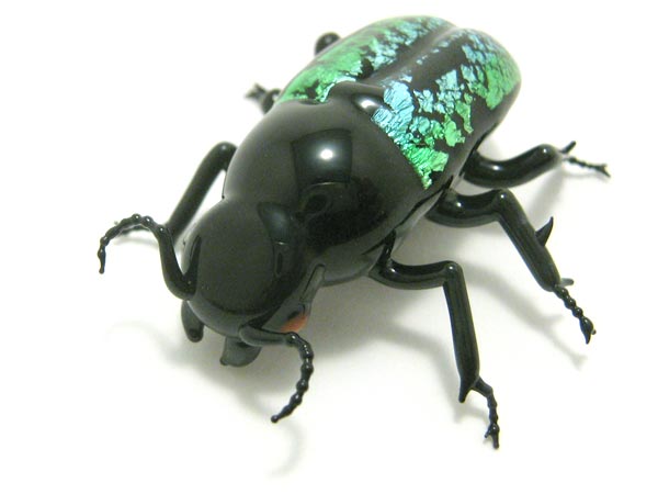 Jewel Beetle, glass beetle by Wesley Fleming