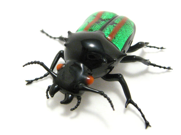 Jewel Beetle, glass insect by Wesley Fleming