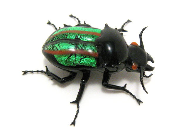 Jewel Beetle, glass beetle by Wesley Fleming