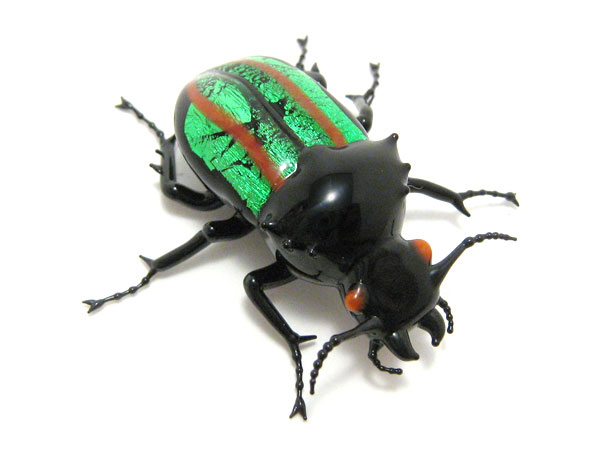 Jewel Beetle, glass insect by Wesley Fleming