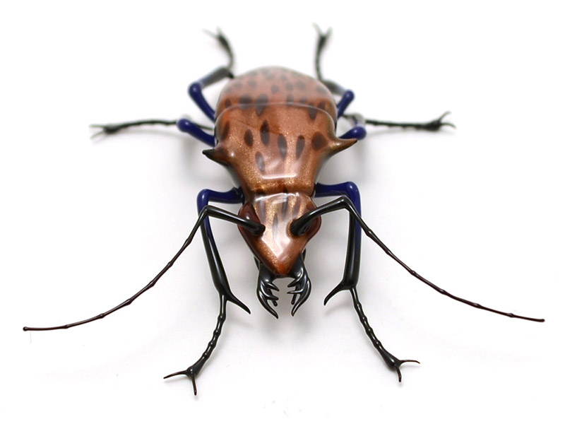 Spotted Goldstone Tiger Beetle, glass insect by Wesley Fleming