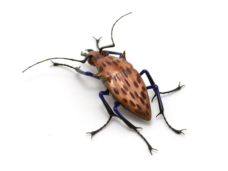 Spotted Goldstone Tiger Beetle, glass bug by Wesley Fleming