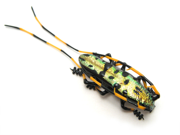 Golden Longhorn Beetle, glass longhorn beetle by Wesley Fleming