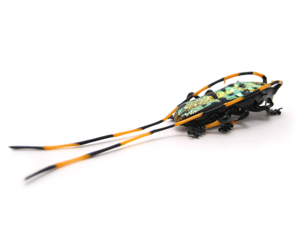 Golden Longhorn Beetle, glass insect by Wesley Fleming