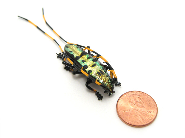 Golden Longhorn Beetle, glass bug by Wesley Fleming