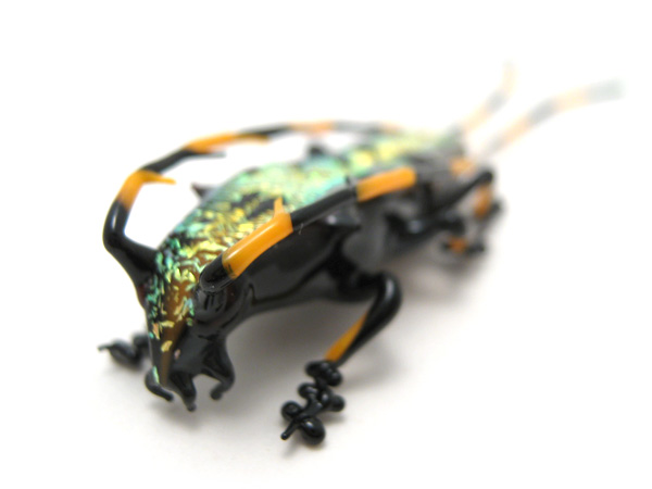 Golden Longhorn Beetle, glass beetle by Wesley Fleming