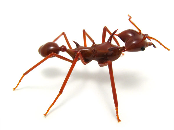 Leafcutter Ant, glass bug by Wesley Fleming