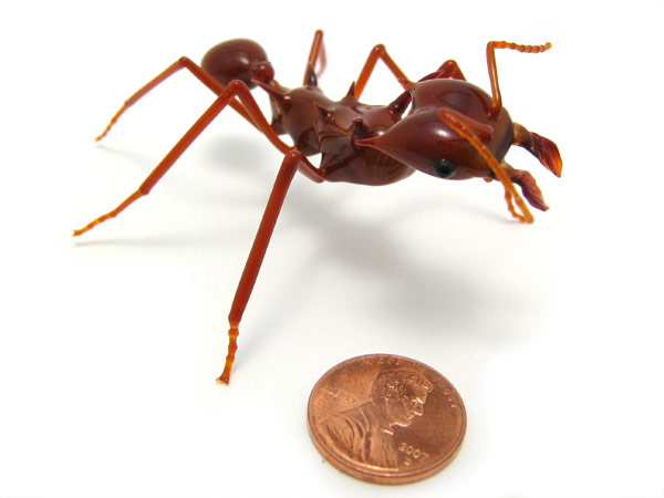 Leafcutter Ant, glass insect by Wesley Fleming