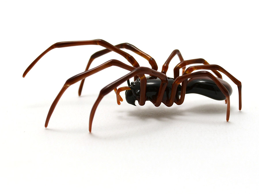 Mason Spider, glass spider by Wesley Fleming