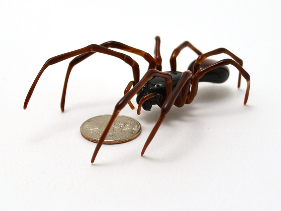 Mason Spider, glass mason spider by Wesley Fleming