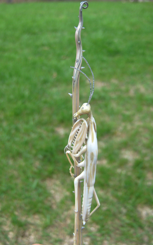 Ghost Mantis Hiding on Briar Branch, glass wasp by Wesley Fleming