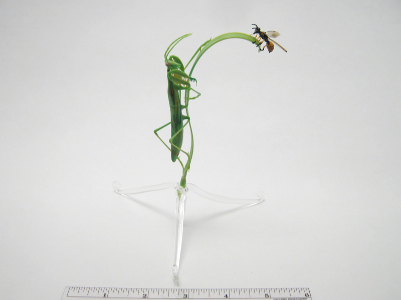 Mantis Stalking a Wasp, glass vignette by Wesley Fleming