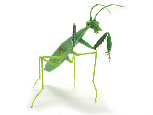 Preying Mantis, glass bug by Wesley Fleming