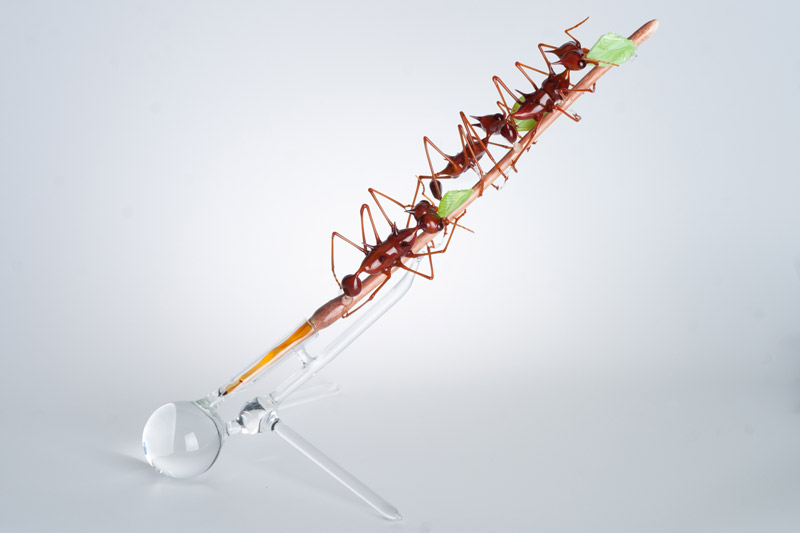 March of Progress, glass leafcutter ants by Wesley Fleming